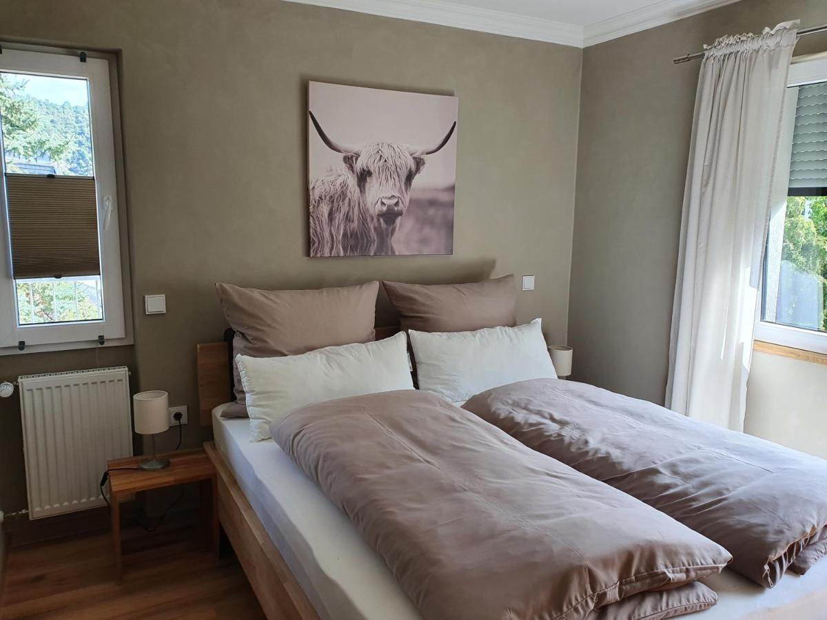 Moselfeeling Co2Frei Apartment Cochem Luaran gambar