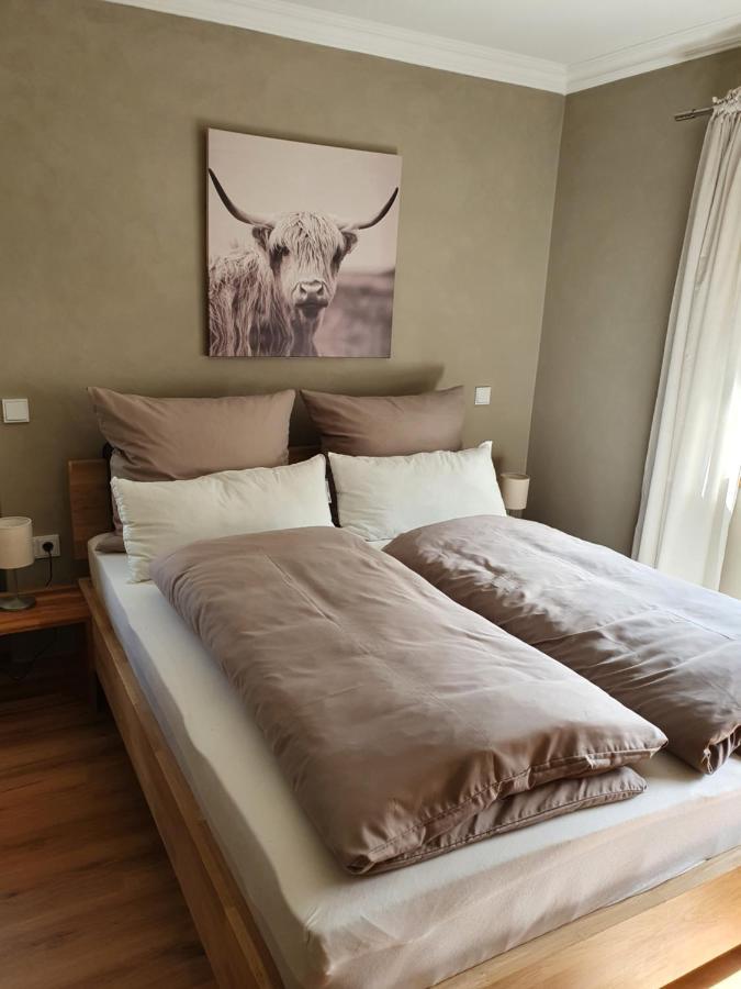 Moselfeeling Co2Frei Apartment Cochem Luaran gambar